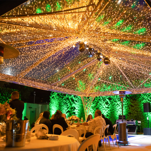 fairy-lights-1
